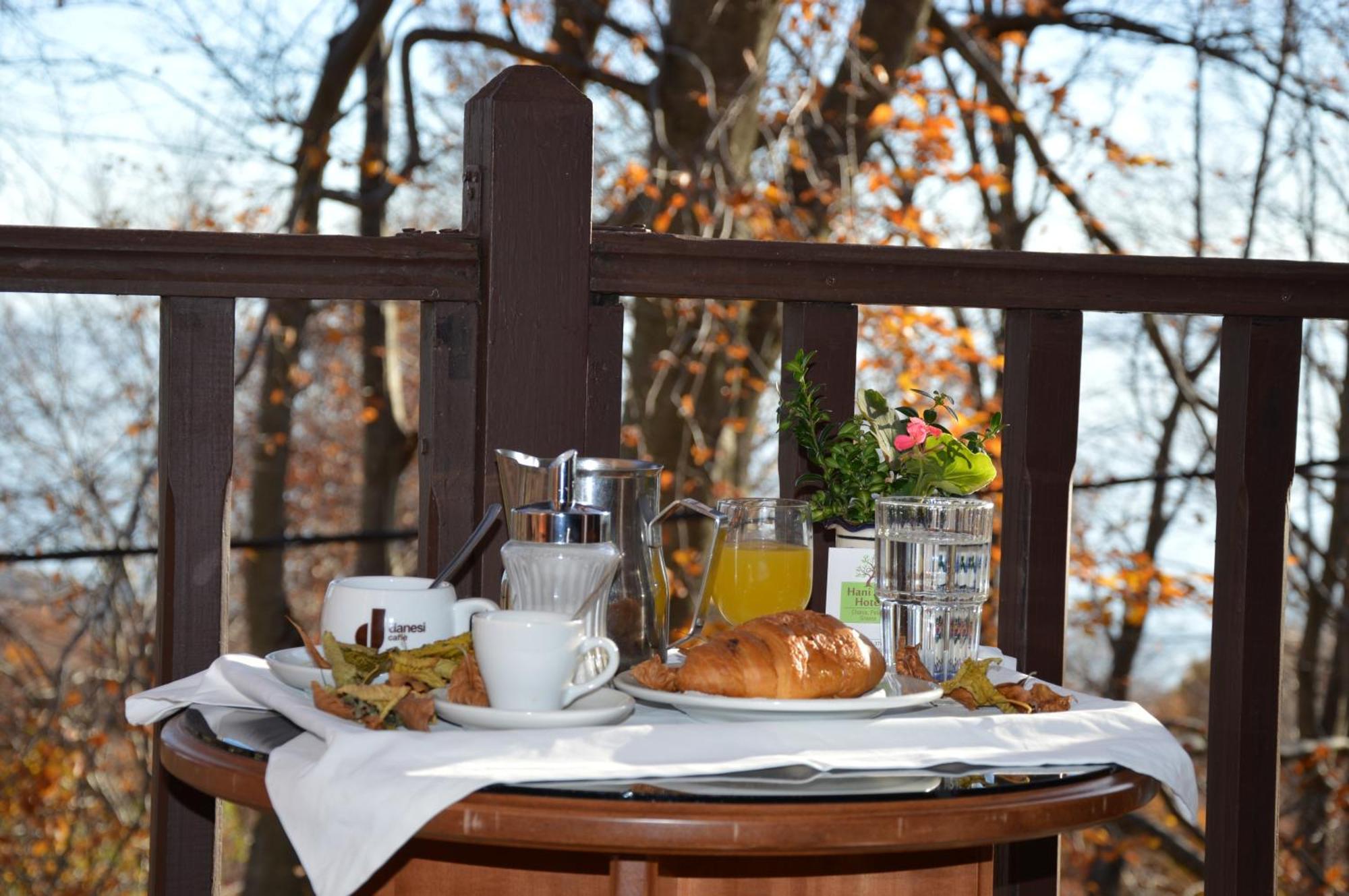 Hotel Hani Zisi هانيا الغرفة الصورة